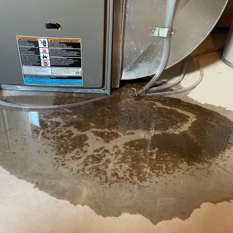 Appliance Leak Cleanup in Owen County, KY